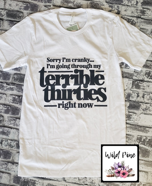 Terrible Thirties -RTS