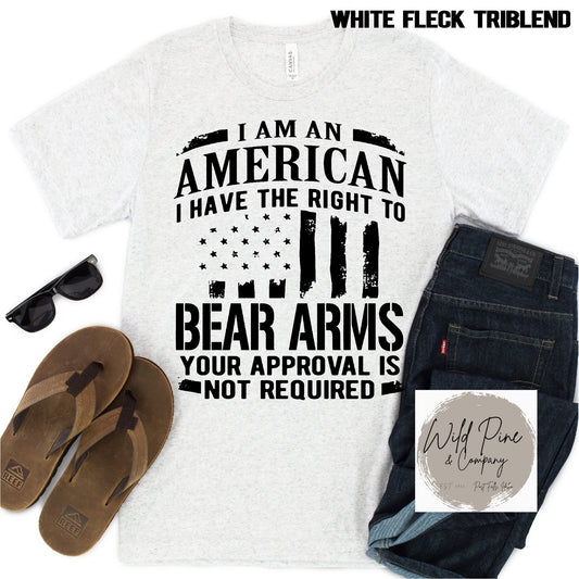 I Have The Right To Bear Arms